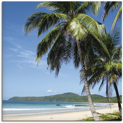 4055327147811 - Wandbild ARTLAND Strand mit Palmen Bilder Gr B H 70 cm x 70 cm Leinwandbild Strandbilder quadratisch 1 St blau Kunstdrucke als Alubild Leinwandbild Wandaufkleber oder Poster in versch Größen 4055327147811 - Wandbild ARTLAND Strand mit Palmen Bilder Gr B H 70 cm x 70 cm Leinwandbild Strandbilder quadratisch 1 St blau Kunstdrucke als Alubild Leinwandbild Wandaufkleber oder Poster in versch Größen