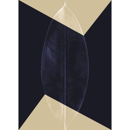 4055065176975 - Bild KOMAR Lotus Theatre blau (farbe bild(er) blau) B50cm H70cm Papier Holz Bilder Wandbild zur Dekoration - ohne Rahmen 4055065176975 - Bild KOMAR Lotus Theatre blau (farbe bild(er) blau) B50cm H70cm Papier Holz Bilder Wandbild zur Dekoration - ohne Rahmen