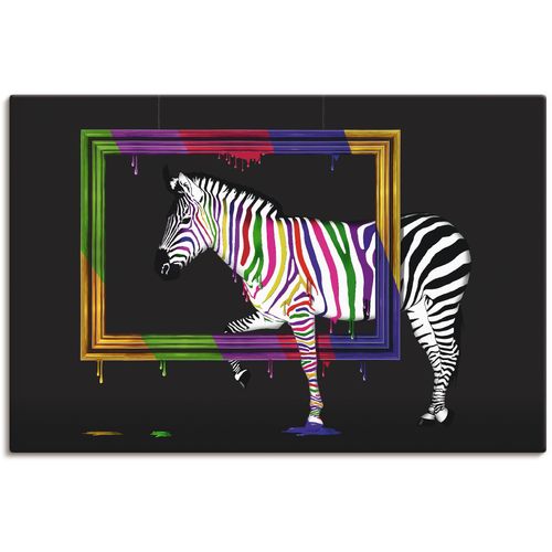 4059745133128 - Wandbild ARTLAND Das Regenbogen Zebra Bilder Gr B H 120 cm x 80 cm Leinwandbild Animal Fantasy 1 St bunt Bild Kunstdruck Kunstdrucke Bilder als Alubild Leinwandbild Wandaufkleber oder Poster in versch Größen