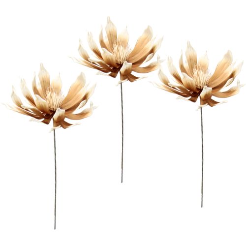 4019844782726 - Kunstblume IGEA Soft-Protea beige B35cm H84cm Obermaterial 100% Kunststoff Kunstpflanzen 3er Set