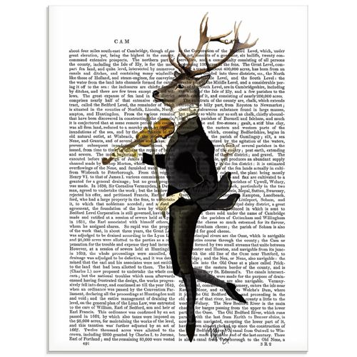 4062144372777 - Glasbild ARTLAND Tanzender Hirsch mit Violine Bilder Gr B H 45 cm x 60 cm Glasbild Humor Hochformat 1 St weiß Bild Glasbild Glasbilder Bilder in verschiedenen Größen 4062144372777 - Glasbild ARTLAND Tanzender Hirsch mit Violine Bilder Gr B H 45 cm x 60 cm Glasbild Humor Hochformat 1 St weiß Bild Glasbild Glasbilder Bilder in verschiedenen Größen