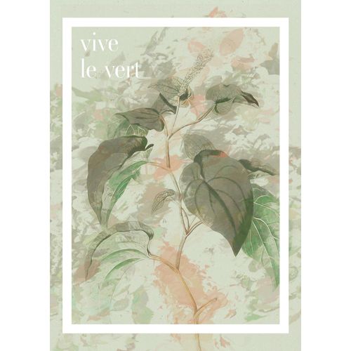4055065175923 - Bild KOMAR PLANT ART Vive le vert grün (farbe bild(er) grün) B50cm H70cm Papier Holz Bilder Wandbild zur Dekoration - ohne Rahmen