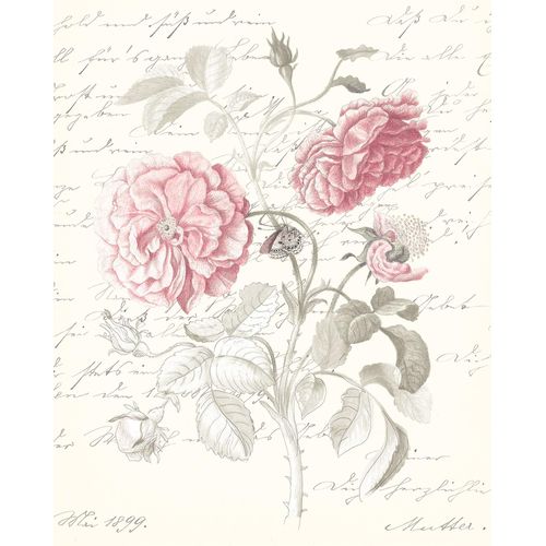 4055065179945 - Bild KOMAR Poème Rose rot (farbe bild(er) rot grün) B40cm H50cm Papier Holz Bilder Wandbild zur Dekoration - ohne Rahmen 4055065179945 - Bild KOMAR Poème Rose rot (farbe bild(er) rot grün) B40cm H50cm Papier Holz Bilder Wandbild zur Dekoration - ohne Rahmen