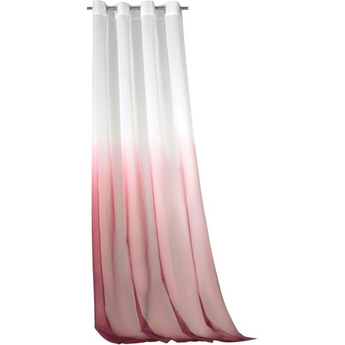 4005385836066 - Vorhang WECKBRODT Maischa Gr 1 lila (beere) B140cm H245cm Voile Polyester Gardinen Voile transparent mit Farbverlauf Gardine Store 4005385836066 - Vorhang WECKBRODT Maischa Gr 1 lila (beere) B140cm H245cm Voile Polyester Gardinen Voile transparent mit Farbverlauf Gardine Store