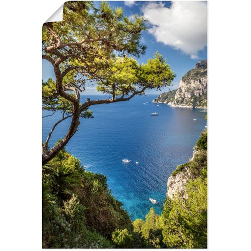 4062144661710 - Wandbild ARTLAND Punta de Masullo Insel Capri Italien Bilder Gr B H 40 cm x 60 cm Poster Meer Bilder Hochformat 1 St blau Kunstdrucke als Alubild Leinwandbild Wandaufkleber oder Poster in versch Größen 4062144661710 - Wandbild ARTLAND Punta de Masullo Insel Capri Italien Bilder Gr B H 40 cm x 60 cm Poster Meer Bilder Hochformat 1 St blau Kunstdrucke als Alubild Leinwandbild Wandaufkleber oder Poster in versch Größen