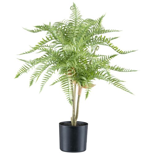 4064118241911 - Kunstpflanze CREATIV GREEN Goldrückenfarn grün H50cm Kunststoff Kunstpflanzen mit zahlreichen Farnwedeln 4064118241911 - Kunstpflanze CREATIV GREEN Goldrückenfarn grün H50cm Kunststoff Kunstpflanzen mit zahlreichen Farnwedeln