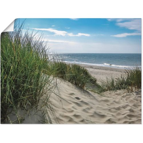 4059745664974 - Wandbild ARTLAND Dünenlandschaft im Sommer an der Nordsee Bilder Gr B H 80 cm x 60 cm Poster Strand 1 St grün Bild Kunstdruck Kunstdrucke Bilder als Alubild Leinwandbild Wandaufkleber oder Poster in versch Größen 4059745664974 - Wandbild ARTLAND Dünenlandschaft im Sommer an der Nordsee Bilder Gr B H 80 cm x 60 cm Poster Strand 1 St grün Bild Kunstdruck Kunstdrucke Bilder als Alubild Leinwandbild Wandaufkleber oder Poster in versch Größen