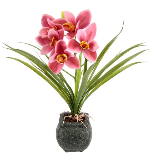 4019844799311 - Kunstblume MY HOME Orchidee Kunstpflanzen Gr B H L 35 cm x 40 cm x 25 cm 1 St rosa Kunst-Blumen Mit Blätter im Topf aus Zement Künstliche Blume Cymbidium-Orchidee 4019844799311 - Kunstblume MY HOME Orchidee Kunstpflanzen Gr B H L 35 cm x 40 cm x 25 cm 1 St rosa Kunst-Blumen Mit Blätter im Topf aus Zement Künstliche Blume Cymbidium-Orchidee