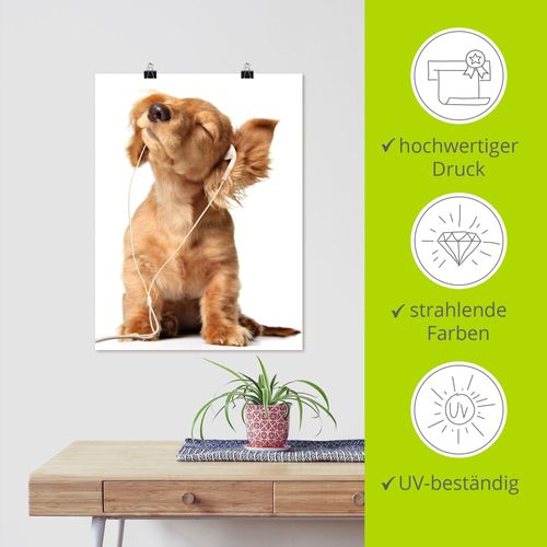 4055327640138 - Wandbild ARTLAND Junger Hund hört Musik über Kopfhörer Bilder Gr B H 30 cm x 40 cm Poster Haustiere Hochformat 1 St weiß Bild Poster Bilder als Leinwandbild Wandaufkleber oder in versch Größen 4055327640138 - Wandbild ARTLAND Junger Hund hört Musik über Kopfhörer Bilder Gr B H 30 cm x 40 cm Poster Haustiere Hochformat 1 St weiß Bild Poster Bilder als Leinwandbild Wandaufkleber oder in versch Größen