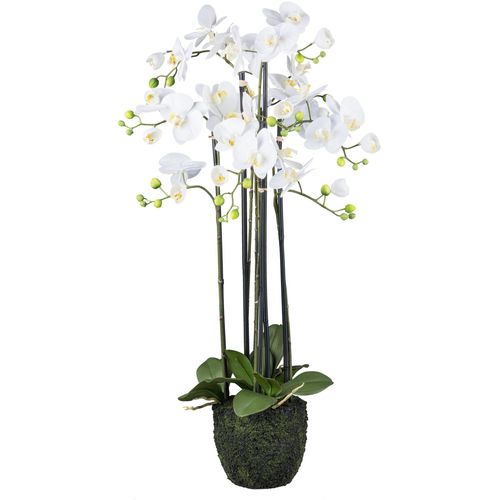 4064118240501 - Kunstorchidee CREATIV GREEN Orchidee Phalaenopsis weiß H93cm Kunststoff Kunstpflanzen im Erdballen und mit real-touch-Blüten 4064118240501 - Kunstorchidee CREATIV GREEN Orchidee Phalaenopsis weiß H93cm Kunststoff Kunstpflanzen im Erdballen und mit real-touch-Blüten
