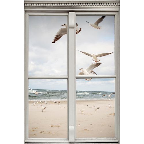 4067437114188 - Wandsticker QUEENCE Möwen am Strand weiß B90cm Wandtattoos Wandsticker Wandbild selbstklebend 3D Fenster 4067437114188 - Wandsticker QUEENCE Möwen am Strand weiß B90cm Wandtattoos Wandsticker Wandbild selbstklebend 3D Fenster