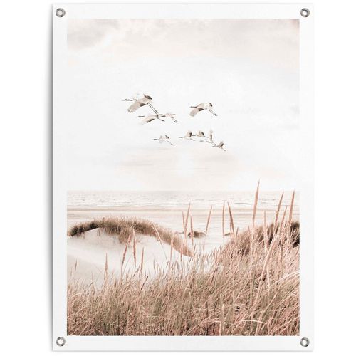 8714597628180 - Poster REINDERS Kraniche beige (farbe bild(er) beige) B60cm H80cm T01cm Leinwand Bilder 8714597628180 - Poster REINDERS Kraniche beige (farbe bild(er) beige) B60cm H80cm T01cm Leinwand Bilder