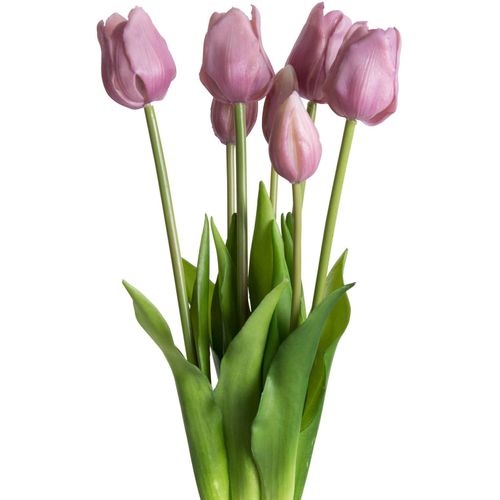 4260600493909 - Kunstpflanze MY HOME Maiva Kunstpflanzen Gr B H 20 cm x 47 cm 7 St lila (lavendel) Künstliche Zimmerpflanzen Tulpenbündel im 7er-Set 4260600493909 - Kunstpflanze MY HOME Maiva Kunstpflanzen Gr B H 20 cm x 47 cm 7 St lila (lavendel) Künstliche Zimmerpflanzen Tulpenbündel im 7er-Set