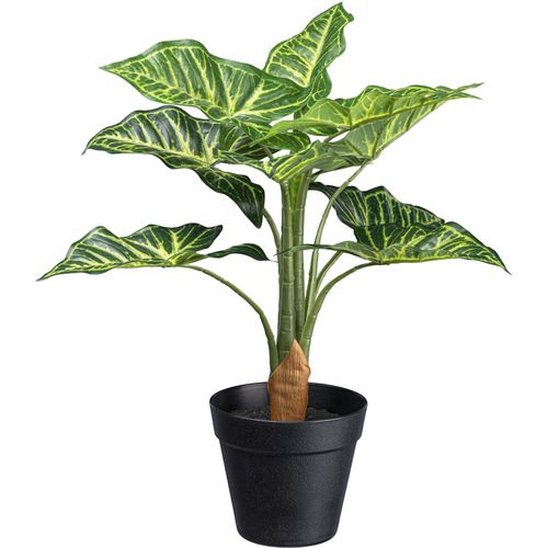 4064118181903 - Künstliche Zimmerpflanze CREATIV GREEN Syngonium grün H45cm Kunstpflanzen mit 10 Blättern 4064118181903 - Künstliche Zimmerpflanze CREATIV GREEN Syngonium grün H45cm Kunstpflanzen mit 10 Blättern
