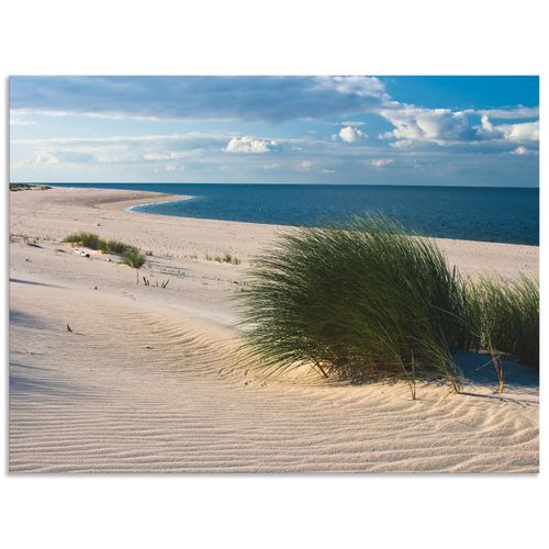 4062144534908 - Wandbild ARTLAND Gras am Strand Bilder Gr B H 40 cm x 30 cm Alu-Dibond-Druck Strand Querformat 1 St beige (naturfarben) Bild Metallbild Metallbilder Bilder als Alubild Leinwandbild Wandaufkleber oder Poster in versch Größen 4062144534908 - Wandbild ARTLAND Gras am Strand Bilder Gr B H 40 cm x 30 cm Alu-Dibond-Druck Strand Querformat 1 St beige (naturfarben) Bild Metallbild Metallbilder Bilder als Alubild Leinwandbild Wandaufkleber oder Poster in versch Größen