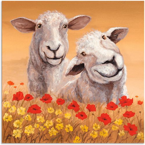 4057738396918 - Wandbild ARTLAND Schafe Bilder Gr B H 50 cm x 50 cm Alu-Dibond-Druck Haustiere 1 St beige (naturfarben) Bild Metallbild Metallbilder Bilder als Alubild Leinwandbild Wandaufkleber oder Poster in versch Größen 4057738396918 - Wandbild ARTLAND Schafe Bilder Gr B H 50 cm x 50 cm Alu-Dibond-Druck Haustiere 1 St beige (naturfarben) Bild Metallbild Metallbilder Bilder als Alubild Leinwandbild Wandaufkleber oder Poster in versch Größen
