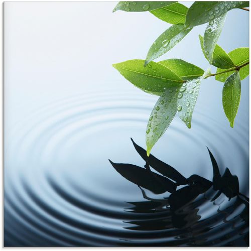 4055327034265 - Glasbild ARTLAND Pflanze und Wasser Bilder Gr B H 20 cm x 20 cm Zen 1 St blau Glasbilder Bilder in verschiedenen Größen 4055327034265 - Glasbild ARTLAND Pflanze und Wasser Bilder Gr B H 20 cm x 20 cm Zen 1 St blau Glasbilder Bilder in verschiedenen Größen