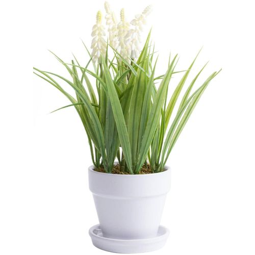 4027234383354 - Kunstblume BOTANIC-HAUS Muskari getopft Kunstpflanzen Gr Ø H 18 cm x 26 cm 1 St beige (creme weiß) Kunst-Blumen 4027234383354 - Kunstblume BOTANIC-HAUS Muskari getopft Kunstpflanzen Gr Ø H 18 cm x 26 cm 1 St beige (creme weiß) Kunst-Blumen