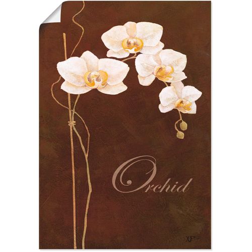 4055327640985 - Wandbild ARTLAND Zarte Orchidee Bilder Gr B H 50 cm x 70 cm Poster Blumen 1 St braun Bild Poster Bilder als Alubild Leinwandbild Wandaufkleber oder in versch Größen 4055327640985 - Wandbild ARTLAND Zarte Orchidee Bilder Gr B H 50 cm x 70 cm Poster Blumen 1 St braun Bild Poster Bilder als Alubild Leinwandbild Wandaufkleber oder in versch Größen