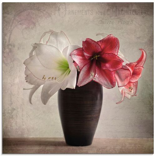 4059745059992 - Glasbild ARTLAND Amaryllis Vintage I Bilder Gr B H 50 cm x 50 cm Glasbild Blumen quadratisch 1 St beige (naturfarben) Bild Glasbild Glasbilder Bilder in verschiedenen Größen 4059745059992 - Glasbild ARTLAND Amaryllis Vintage I Bilder Gr B H 50 cm x 50 cm Glasbild Blumen quadratisch 1 St beige (naturfarben) Bild Glasbild Glasbilder Bilder in verschiedenen Größen