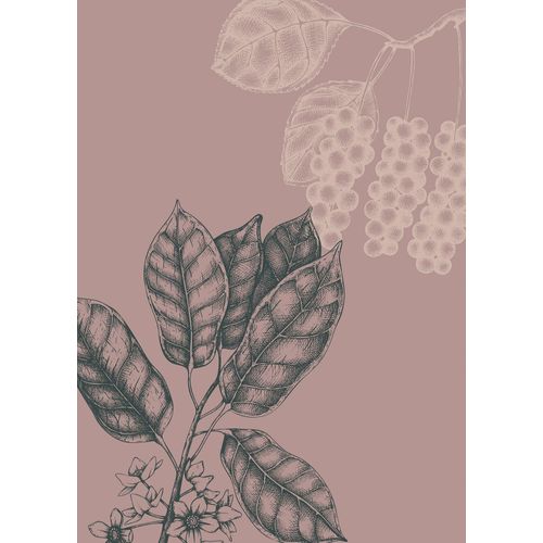 4055065177095 - Bild KOMAR Wild Berry rosa (farbe bild(er) rosa) B50cm H70cm Papier Holz Bilder Wandbild zur Dekoration - ohne Rahmen 4055065177095 - Bild KOMAR Wild Berry rosa (farbe bild(er) rosa) B50cm H70cm Papier Holz Bilder Wandbild zur Dekoration - ohne Rahmen
