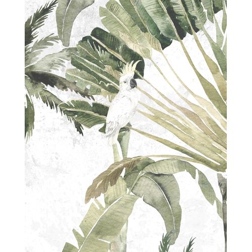4055065179709 - Bild KOMAR Oiseau Cacadoo bunt (farbe bild(er) bunt) B40cm H50cm Papier Holz Bilder Wandbild zur Dekoration - ohne Rahmen 4055065179709 - Bild KOMAR Oiseau Cacadoo bunt (farbe bild(er) bunt) B40cm H50cm Papier Holz Bilder Wandbild zur Dekoration - ohne Rahmen
