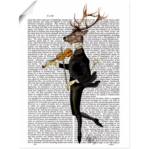 4058661412270 - Wandbild ARTLAND Tanzender Hirsch mit Violine Bilder Gr B H 60 cm x 80 cm Poster Humor Hochformat 1 St weiß Bild Metallbild Metallbilder Bilder als Alubild Leinwandbild Wandaufkleber oder Poster in versch Größen 4058661412270 - Wandbild ARTLAND Tanzender Hirsch mit Violine Bilder Gr B H 60 cm x 80 cm Poster Humor Hochformat 1 St weiß Bild Metallbild Metallbilder Bilder als Alubild Leinwandbild Wandaufkleber oder Poster in versch Größen