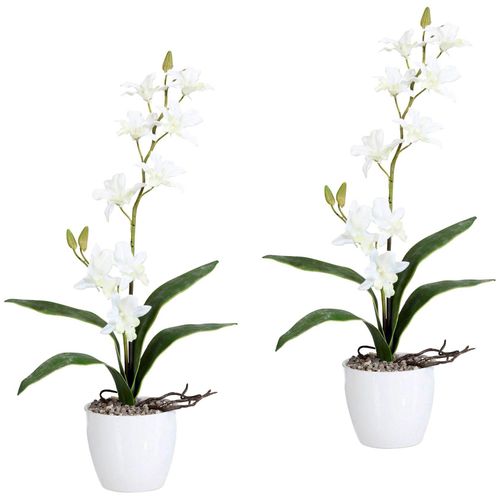 4064118039792 - Kunstpflanze CREATIV GREEN Orchidee Dendrobie Kunstpflanzen Gr H 60 cm 2 St weiß Künstliche Zimmerpflanzen Kunstpflanzen im Keramiktopf 4064118039792 - Kunstpflanze CREATIV GREEN Orchidee Dendrobie Kunstpflanzen Gr H 60 cm 2 St weiß Künstliche Zimmerpflanzen Kunstpflanzen im Keramiktopf