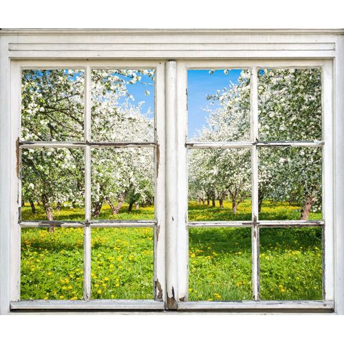 4067437114263 - Wandsticker QUEENCE Wiese mit Bäumen grün B90cm Wandtattoos Wandsticker Wandbild selbstklebend 3D Fenster