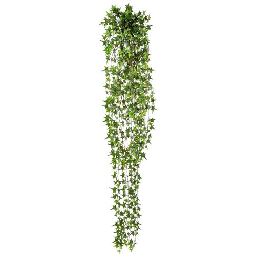 4064118039914 - Kunstranke CREATIV GREEN Englische Efeuranke Kunstpflanzen Gr H 180 cm 1 St grün Kunstpflanze Kunstranke Zimmerpflanze Kunst-Ranken Kunstpflanzen hängender Efeu ohne Topf 4064118039914 - Kunstranke CREATIV GREEN Englische Efeuranke Kunstpflanzen Gr H 180 cm 1 St grün Kunstpflanze Kunstranke Zimmerpflanze Kunst-Ranken Kunstpflanzen hängender Efeu ohne Topf