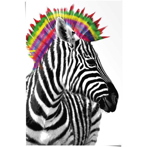 8714597373776 - Poster REINDERS Zebra Punk schwarz (farbe bild(er) schwarz) B61cm H915cm Papier Bilder 8714597373776 - Poster REINDERS Zebra Punk schwarz (farbe bild(er) schwarz) B61cm H915cm Papier Bilder
