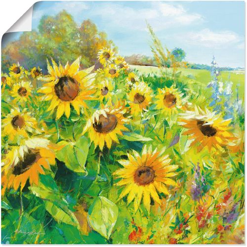 4055327272629 - Wandbild ARTLAND Sommerwiese mit Sonnenblumen Bilder Gr B H 50 cm x 50 cm Poster Blumenwiese 1 St gelb Bild Poster Bilder als Alubild Leinwandbild Wandaufkleber oder in versch Größen 4055327272629 - Wandbild ARTLAND Sommerwiese mit Sonnenblumen Bilder Gr B H 50 cm x 50 cm Poster Blumenwiese 1 St gelb Bild Poster Bilder als Alubild Leinwandbild Wandaufkleber oder in versch Größen