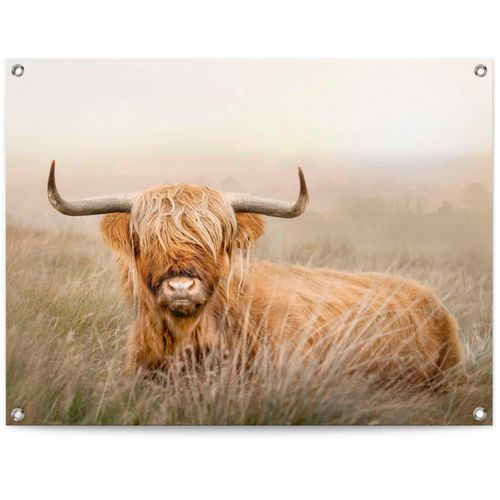 8714597628203 - Poster REINDERS Hochlandrind beige (farbe bild(er) beige) B80cm H60cm T01cm Leinwand Bilder 8714597628203 - Poster REINDERS Hochlandrind beige (farbe bild(er) beige) B80cm H60cm T01cm Leinwand Bilder