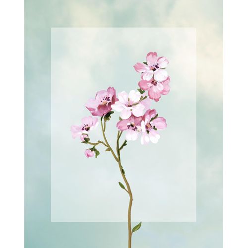 4055065179341 - Bild KOMAR Lever et Briller bunt (farbe bild(er) bunt) B40cm H50cm Papier Holz Bilder Wandbild zur Dekoration - ohne Rahmen 4055065179341 - Bild KOMAR Lever et Briller bunt (farbe bild(er) bunt) B40cm H50cm Papier Holz Bilder Wandbild zur Dekoration - ohne Rahmen