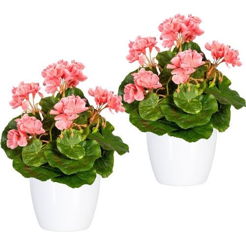 4064118841432 - Kunstpflanze HOME AFFAIRE Havel rosa B12cm H24cm Obermaterial 70% Polyester 30% Kunststoff Kunstpflanzen Künstliche Zimmerpflanze im Topf 2er Set 4064118841432 - Kunstpflanze HOME AFFAIRE Havel rosa B12cm H24cm Obermaterial 70% Polyester 30% Kunststoff Kunstpflanzen Künstliche Zimmerpflanze im Topf 2er Set