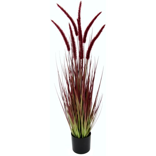 4019844769901 - Kunstpflanze IGEA Fuchsschwanzgras rot B18cm H90cm Obermaterial 90% Kunststoff 10% Polyester Kunstpflanzen Im Topf 4019844769901 - Kunstpflanze IGEA Fuchsschwanzgras rot B18cm H90cm Obermaterial 90% Kunststoff 10% Polyester Kunstpflanzen Im Topf