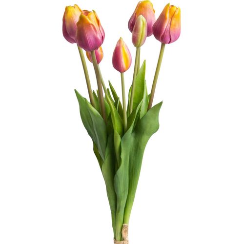 4260600491974 - Kunstpflanze MY HOME Maiva Kunstpflanzen Gr B H 20 cm x 47 cm 7 St bunt (mauve gelb) Künstliche Zimmerpflanzen Tulpenbündel im 7er-Set 4260600491974 - Kunstpflanze MY HOME Maiva Kunstpflanzen Gr B H 20 cm x 47 cm 7 St bunt (mauve gelb) Künstliche Zimmerpflanzen Tulpenbündel im 7er-Set
