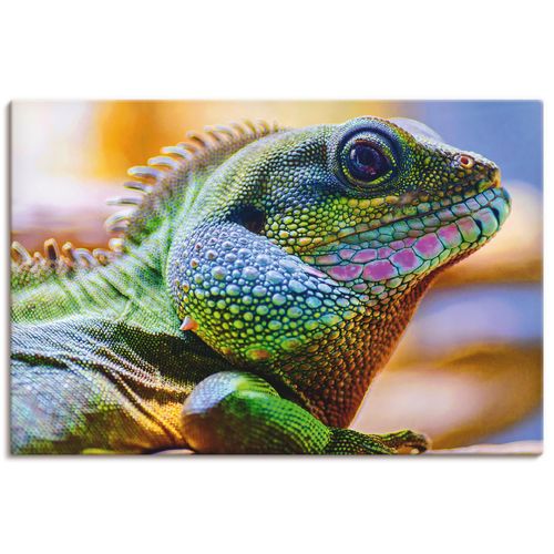 4062144128312 - Wandbild ARTLAND Farbiger Kopf eines Leguan Bilder Gr B H 90 cm x 60 cm Leinwandbild Reptilien Querformat 1 St bunt Bild Poster Bilder als Alubild Leinwandbild Wandaufkleber oder in versch Größen 4062144128312 - Wandbild ARTLAND Farbiger Kopf eines Leguan Bilder Gr B H 90 cm x 60 cm Leinwandbild Reptilien Querformat 1 St bunt Bild Poster Bilder als Alubild Leinwandbild Wandaufkleber oder in versch Größen