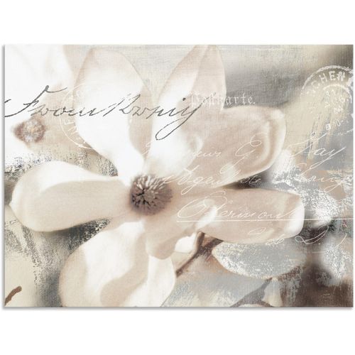 4057738414049 - Wandbild ARTLAND Magnolie_Detail Bilder Gr B H 80 cm x 60 cm Alu-Dibond-Druck Blumenbilder Querformat 1 St weiß Kunstdrucke als Alubild Leinwandbild Wandaufkleber oder Poster in versch Größen 4057738414049 - Wandbild ARTLAND Magnolie_Detail Bilder Gr B H 80 cm x 60 cm Alu-Dibond-Druck Blumenbilder Querformat 1 St weiß Kunstdrucke als Alubild Leinwandbild Wandaufkleber oder Poster in versch Größen