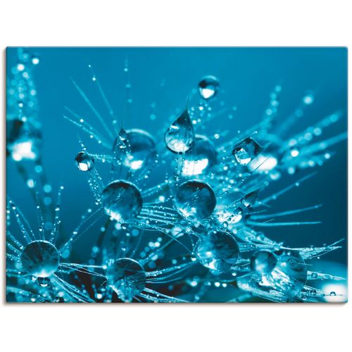 4055327990226 - Leinwandbild ARTLAND Glitzernde Pusteblume II blau (farbe bild(er) blau) B80cm H60cm T18cm Canvas Leinwand Bilder auf Keilrahmen gespannt