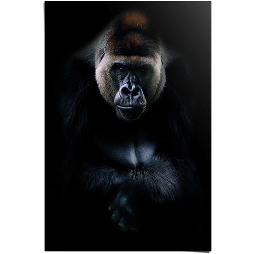 8714597396133 - Poster REINDERS Gorilla Gorilla schwarz (farbe bild(er) schwarz) B61cm H915cm Papier Bilder 8714597396133 - Poster REINDERS Gorilla Gorilla schwarz (farbe bild(er) schwarz) B61cm H915cm Papier Bilder