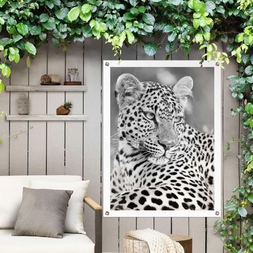 8714597638769 - Poster REINDERS Leopard schwarz (farbe bild(er) schwarz weiß) B60cm H80cm T01cm Leinwand Bilder Outdoor für Garten oder Balkon 8714597638769 - Poster REINDERS Leopard schwarz (farbe bild(er) schwarz weiß) B60cm H80cm T01cm Leinwand Bilder Outdoor für Garten oder Balkon
