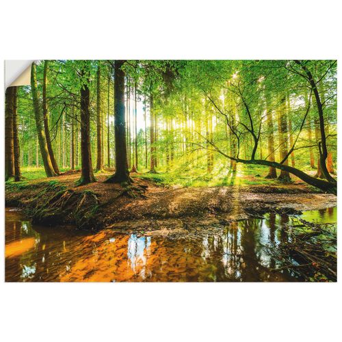 4059745929738 - Wandbild ARTLAND Wald mit Bach Bilder Gr B H 90 cm x 60 cm Wandaufkleber - Vinyl Wald Querformat 1 St grün Bild Poster Bilder als Alubild Leinwandbild Wandaufkleber oder in versch Größen 4059745929738 - Wandbild ARTLAND Wald mit Bach Bilder Gr B H 90 cm x 60 cm Wandaufkleber - Vinyl Wald Querformat 1 St grün Bild Poster Bilder als Alubild Leinwandbild Wandaufkleber oder in versch Größen