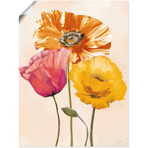 4055327286770 - Wandbild ARTLAND Bunte Mohnblumen II Bilder Gr B H 30 cm x 40 cm Poster Blumenbilder Hochformat 1 St bunt Kunstdrucke als Alubild Leinwandbild Wandaufkleber oder Poster in versch Größen 4055327286770 - Wandbild ARTLAND Bunte Mohnblumen II Bilder Gr B H 30 cm x 40 cm Poster Blumenbilder Hochformat 1 St bunt Kunstdrucke als Alubild Leinwandbild Wandaufkleber oder Poster in versch Größen