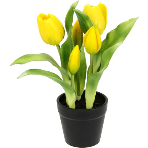 4019844805319 - Kunstblume IGEA Tulpen gelb B20cm H22cm L20cm Polyester Kunstpflanzen 4019844805319 - Kunstblume IGEA Tulpen gelb B20cm H22cm L20cm Polyester Kunstpflanzen