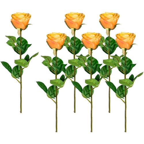 4064118041023 - Kunstblume CREATIV GREEN Kunstpflanzen Gr H 69 cm orange (apricot) Kunstblume Kunst-Blumen Kunstpflanzen 4064118041023 - Kunstblume CREATIV GREEN Kunstpflanzen Gr H 69 cm orange (apricot) Kunstblume Kunst-Blumen Kunstpflanzen