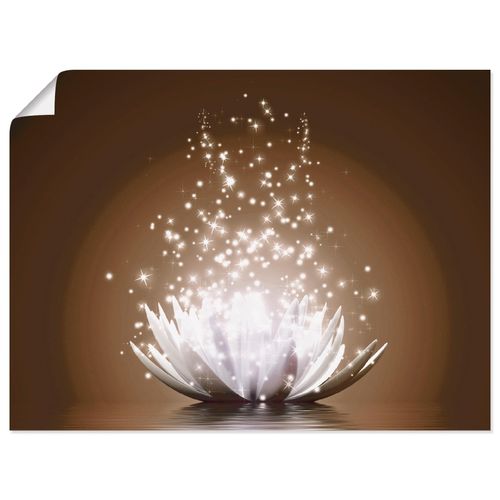 4055327639200 - Wandbild ARTLAND Magie der Lotus-Blume Bilder Gr B H 80 cm x 60 cm Poster Blumen Querformat 1 St braun Bild Leinwandbild Kunstdrucke Bilder als Alubild Leinwandbild Wandaufkleber oder Poster in versch Größen 4055327639200 - Wandbild ARTLAND Magie der Lotus-Blume Bilder Gr B H 80 cm x 60 cm Poster Blumen Querformat 1 St braun Bild Leinwandbild Kunstdrucke Bilder als Alubild Leinwandbild Wandaufkleber oder Poster in versch Größen