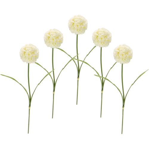 4019844782542 - Kunstblume IGEA Allium weiß B11cm H67cm Obermaterial 98% Polyester 2% Kunststoff Kunstpflanzen 5er Set 4019844782542 - Kunstblume IGEA Allium weiß B11cm H67cm Obermaterial 98% Polyester 2% Kunststoff Kunstpflanzen 5er Set