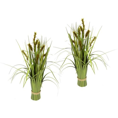 4019844749248 - Kunstgras IGEA Grasbund Kunstpflanzen Gr B H 18 cm x 43 cm 2 St grün Kunstgras Kunst-Gräser Kunstpflanzen 4019844749248 - Kunstgras IGEA Grasbund Kunstpflanzen Gr B H 18 cm x 43 cm 2 St grün Kunstgras Kunst-Gräser Kunstpflanzen