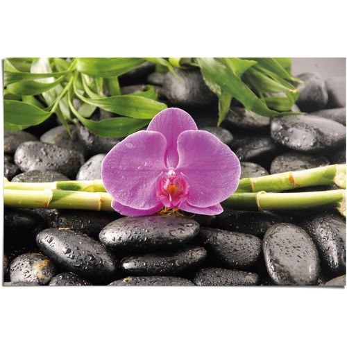 8714597343205 - Poster REINDERS Orchidee rosa (farbe bild(er) rosa) B915cm H61cm Papier Bilder 8714597343205 - Poster REINDERS Orchidee rosa (farbe bild(er) rosa) B915cm H61cm Papier Bilder